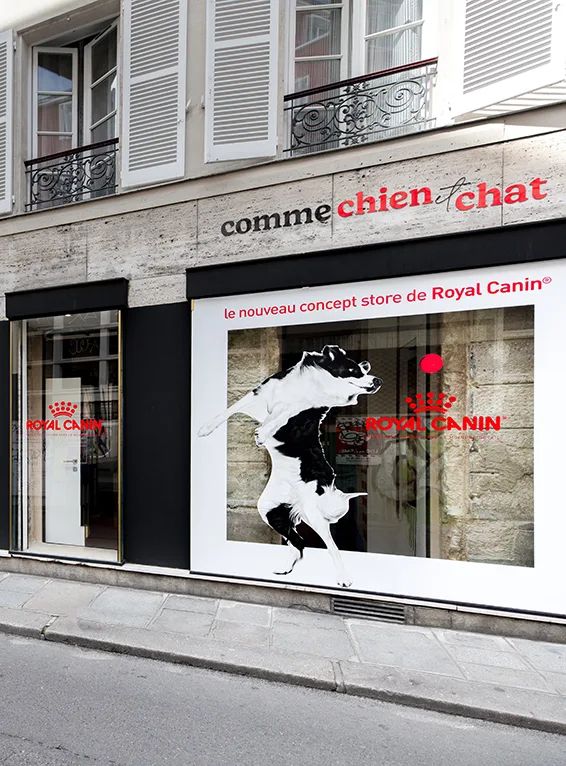 Vitrophanie pour Royal Canin, réalisée par Atelier Gambetta